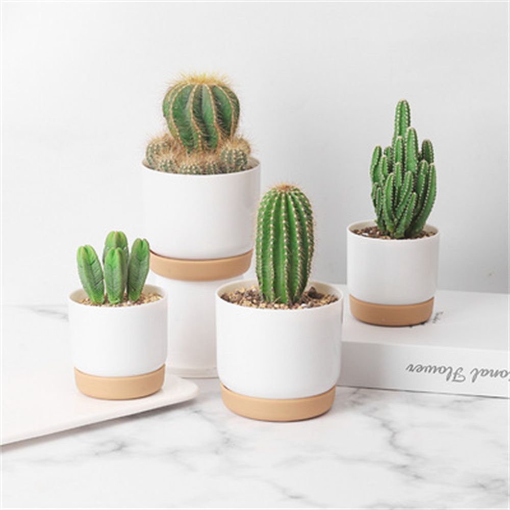 Desk Setup Plant - Vaso per Piante Grasse Rotondo con