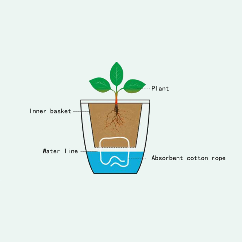 Desk Setup Plant - Vaso per Fiori Automatico Lazy Flower,