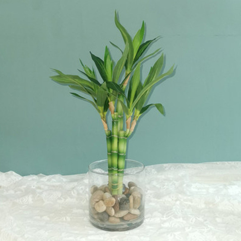 Nuovo 40 cm rFtificial Lucky B - Desk Setup Plant recensione e prezzo