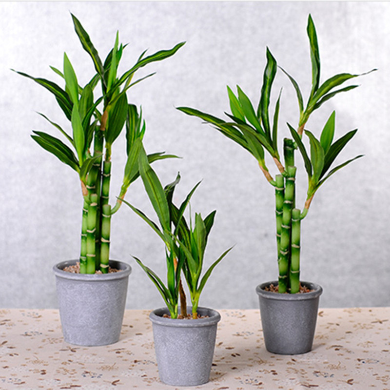 Nuovo 40 cm rFtificial Lucky B - Desk Setup Plant recensione e prezzo