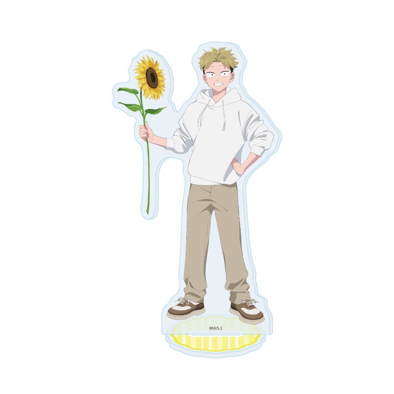 Tu e io siamo opposti polari,  - Desk Setup Plant recensione e prezzo