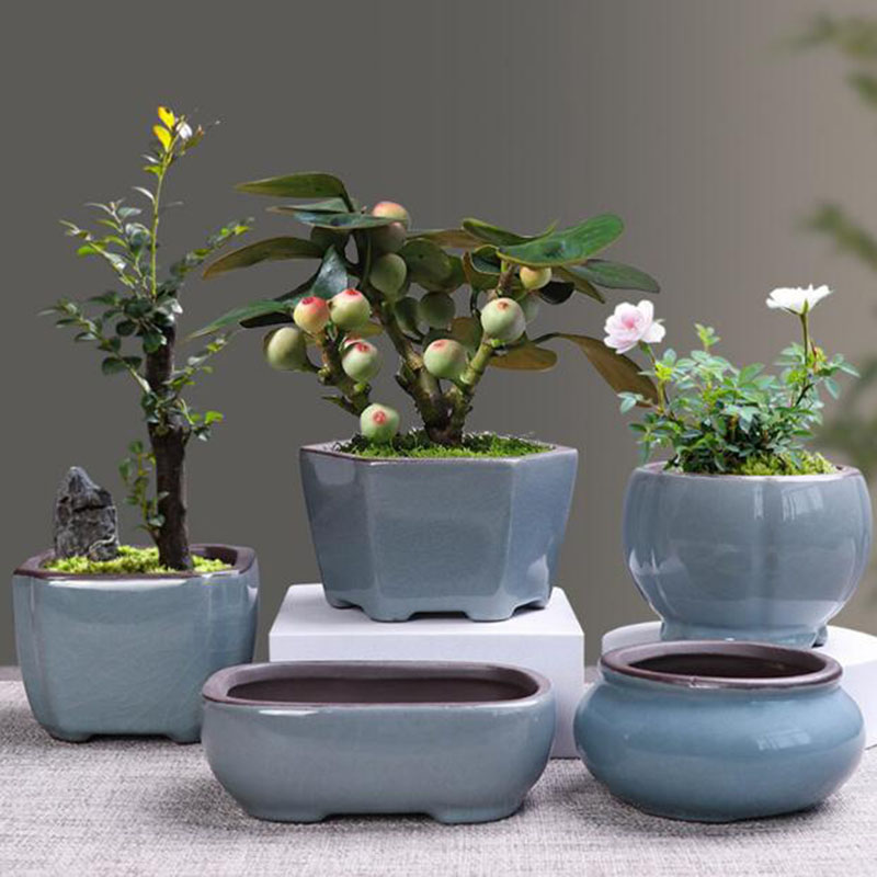 Vaso da fiori in ceramica retr - Desk Setup Plant recensione e prezzo