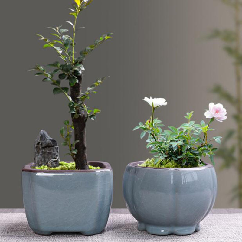 Vaso da fiori in ceramica retr - Desk Setup Plant recensione e prezzo