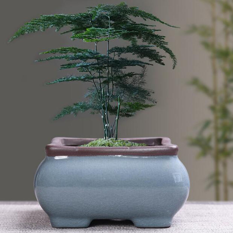 Vaso da fiori in ceramica retr - Desk Setup Plant recensione e prezzo