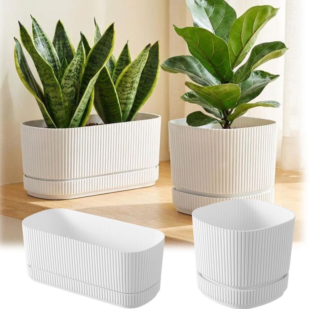 Vaso per Fiori Autoirrigante i - Desk Setup Plant recensione e prezzo