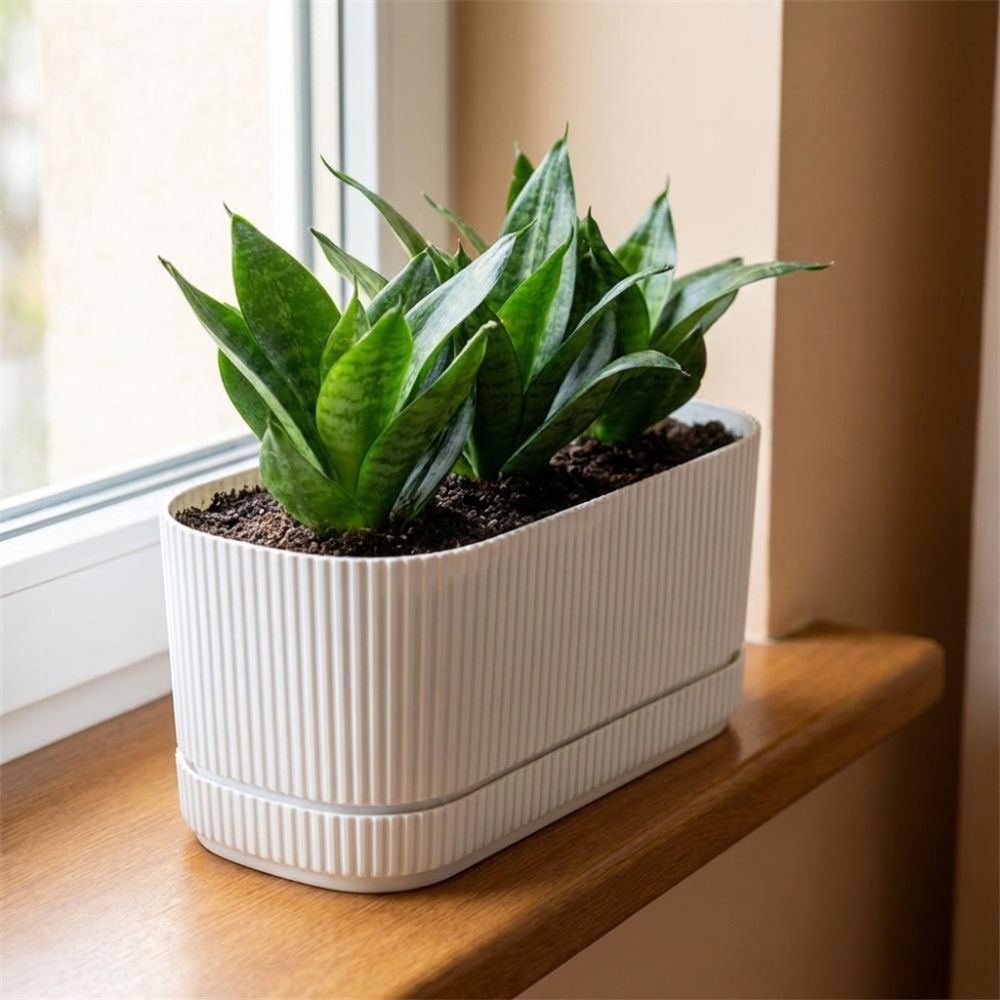 Vaso per Fiori Autoirrigante i - Desk Setup Plant recensione e prezzo