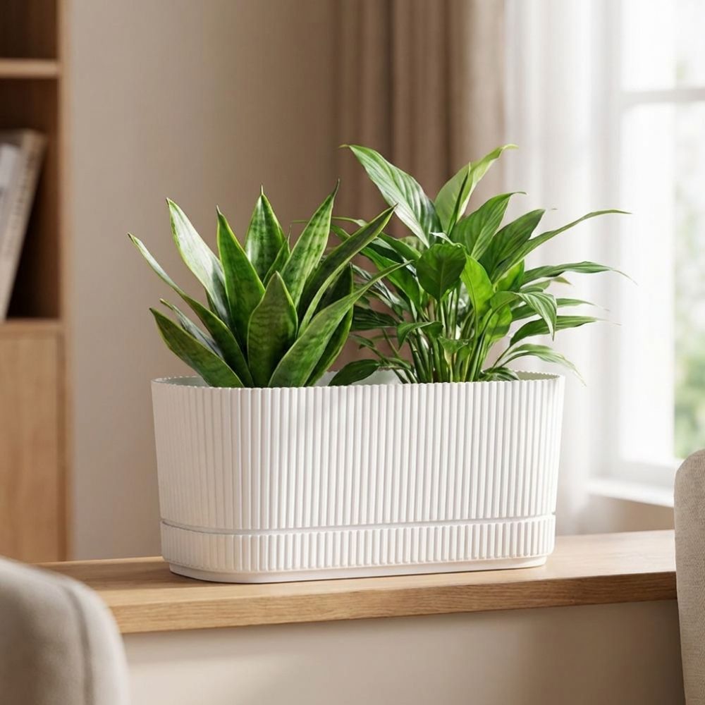 Vaso per Fiori Autoirrigante i - Desk Setup Plant recensione e prezzo