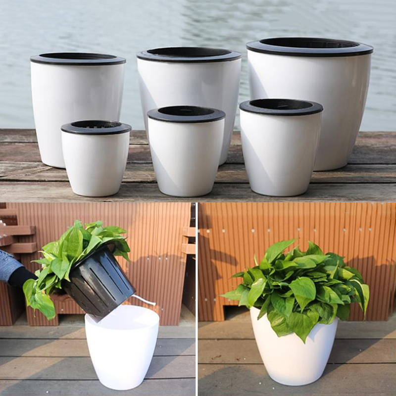 Vaso per Fiori Automatico Lazy - Desk Setup Plant recensione e prezzo