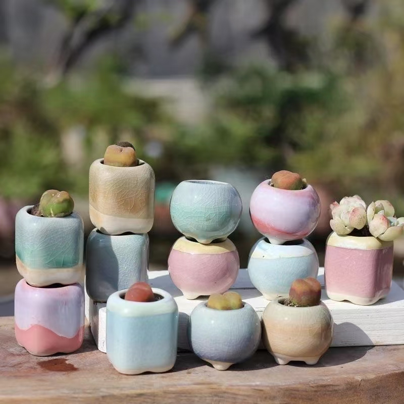 6 pezzi mini vaso da fiori pia - Desk Setup Plant recensione e prezzo