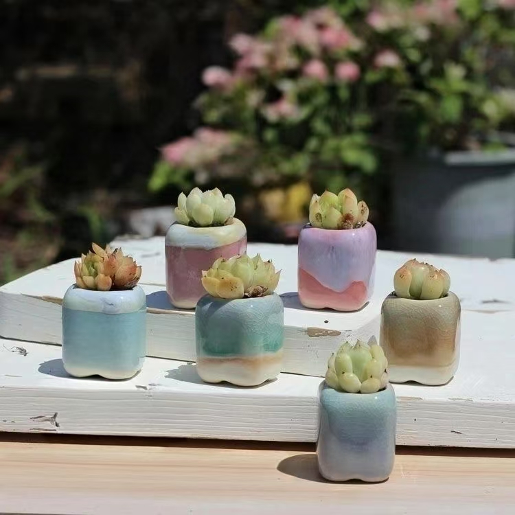 6 pezzi mini vaso da fiori pia - Desk Setup Plant recensione e prezzo
